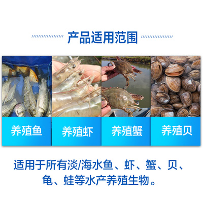 二氧化氯泡腾片 水产养殖消毒杀菌与除藻的全能卫士