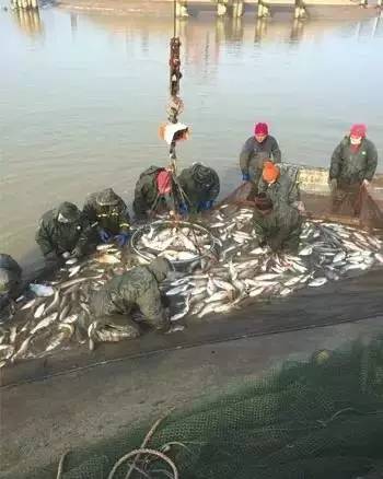 渔业管理进入&ldquo;智能化&rdquo; 养殖户轻点鼠标就养鱼